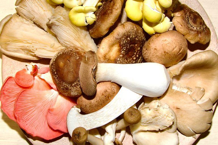 A delightful selection of mushroom varieties laid out on a simple wooden plate